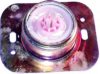 BIRTH 4356 Repair Kit, gear lever
